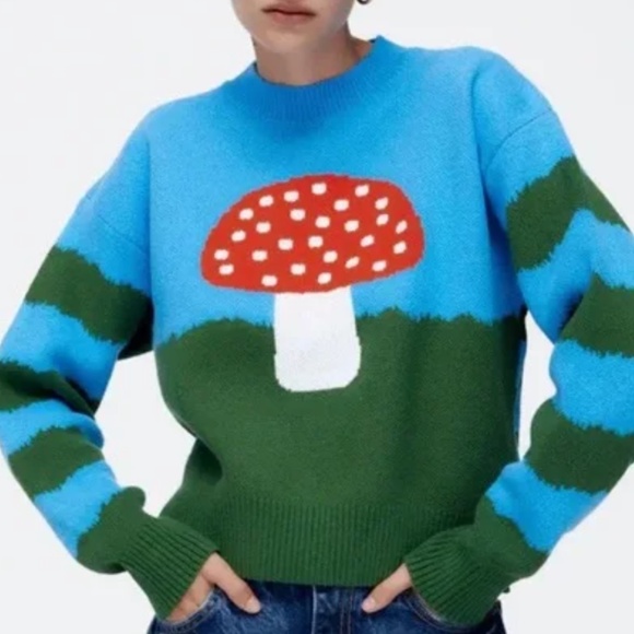 Zara red, blue and green mushroom check and stripes knit jacquard sweater NWT - Picture 1 of 11